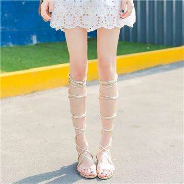 b体育官方体育app